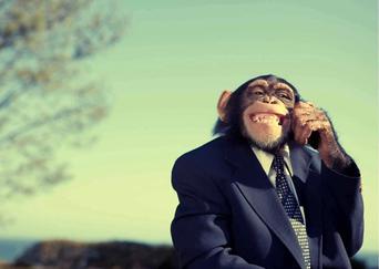 give five difference between human language and animal communication  Archives - AnimalBehaviorCorner