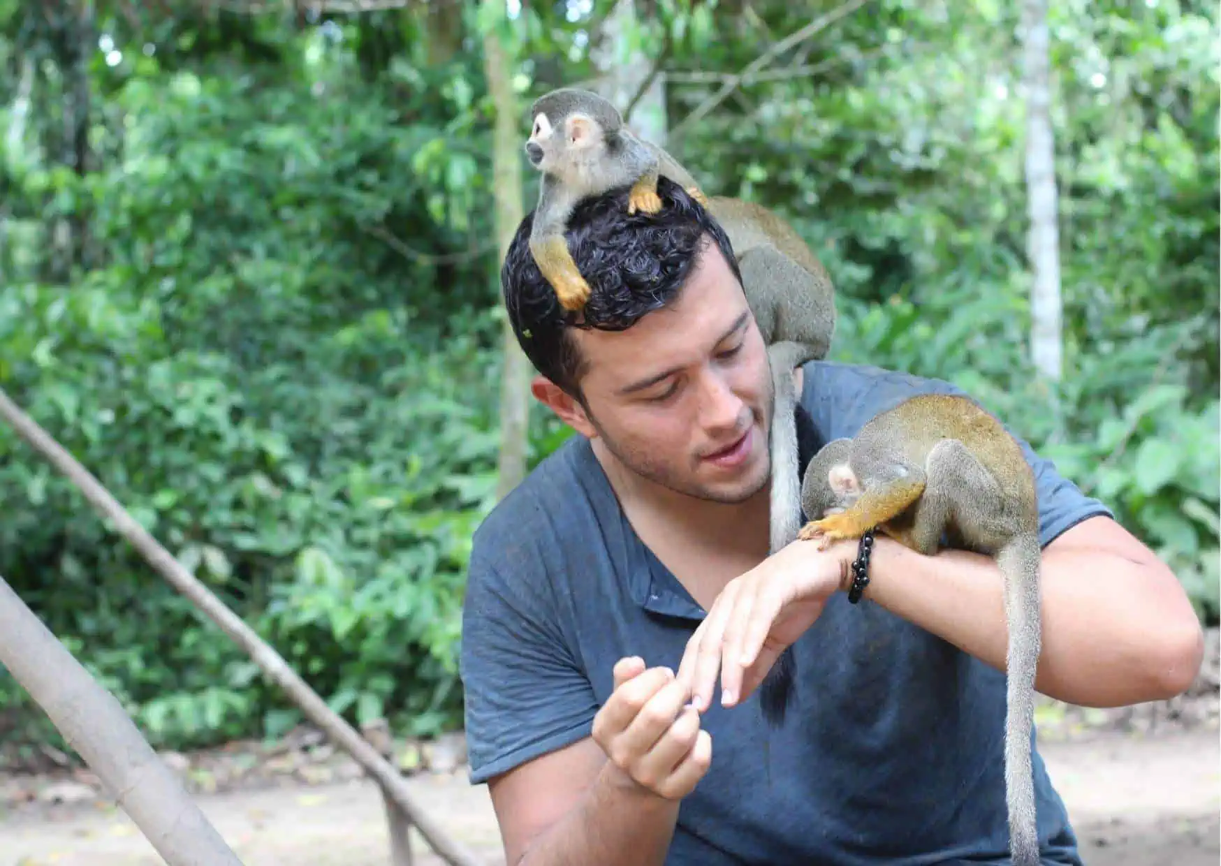 How To Become An Animal Behaviorist AnimalBehaviorCorner