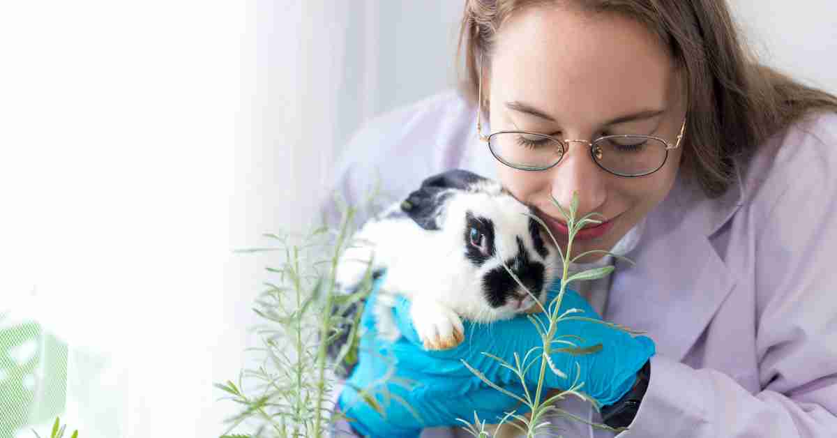 Animal Intelligence Animalbehaviorcorner